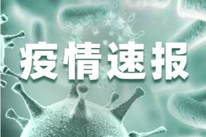 北京市最新通报：昨日新增本地确诊病例36例 新增无症状感染者1例